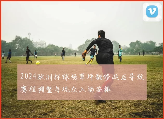2024欧洲杯球场草坪翻修延后导致赛程调整与观众入场安排